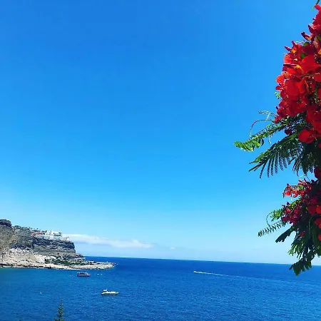 Su Eminencia - Sea View With Modern Comforts 플라야델쿠라