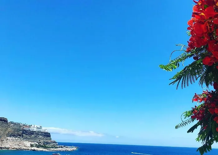 Su Eminencia - Sea View With Modern Comforts 플라야델쿠라